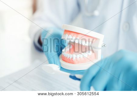 Dentist With Denture Learning How To Teeth At Dentists Office