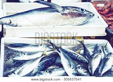 Fresh Fish Mackerel For Sale In The Fish Market Pescheria Of Catania, Sicily, Italy.