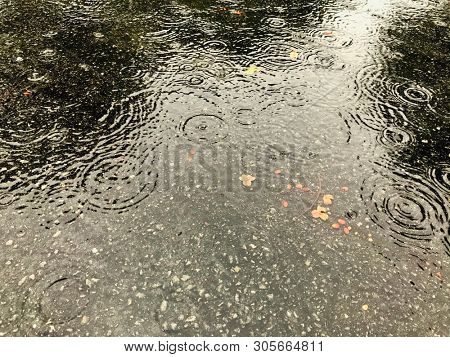 close up pond on asphalt road during rainy day