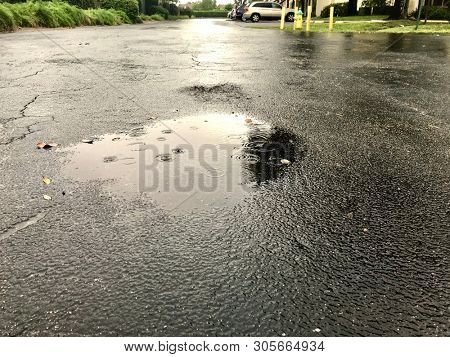 close up pond on asphalt road during rainy day
