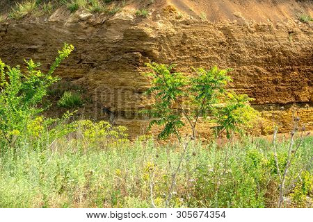 Green Bushes And Grass On A Limestone Cliff Background