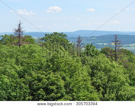 the City of Detmold and the hermannsdenkmal in germany