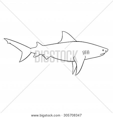Coloring Book For Children, Blacktips Shark Fish