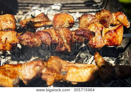 Shashlik Of  Mutton, Beef Or Chicken Meat On Barbeque Outdoor