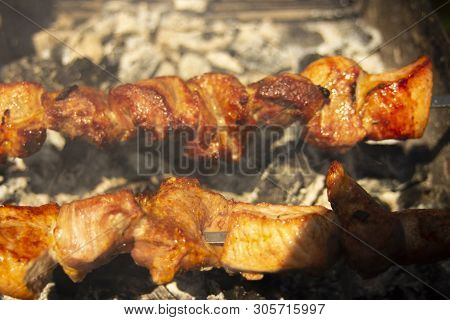Shashlik Of  Mutton, Beef Or Chicken Meat On Barbeque Outdoor