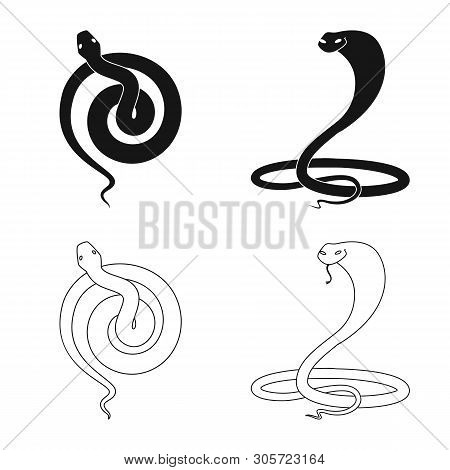 Vector Design Of Mammal And Danger Sign. Set Of Mammal And Medicine Stock Vector Illustration.