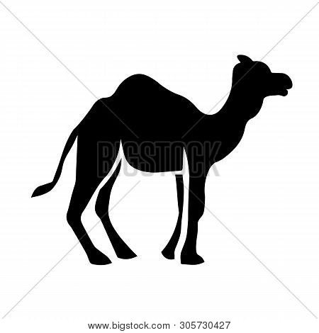 This Vector Image Shows A Dromedary Icon In Glyph Style. It Is Isolated On A White Background.