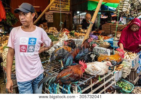 Makassar, Sulawesi, Indonesia - February 28, 2019: Terong Street Market. Man Sells Living Chickens, 