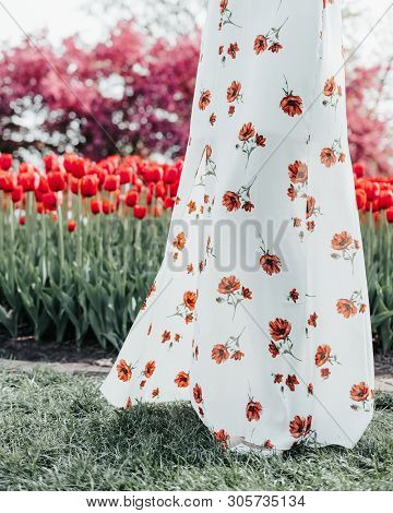 A Floral Dress Blows In The Wind In Front Of A Blurred Row Of Red Tulips And A Purple Crabapple Tree