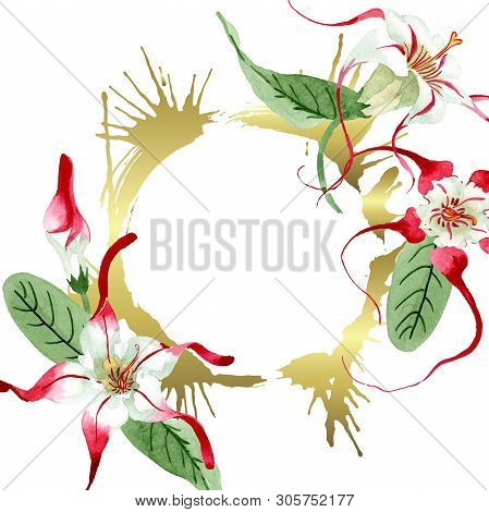 Red White Strophantus Botanical Flowers. Wild Spring Leaf Wildflower. Watercolour Drawing Fashion Aq