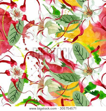 Red White Strophantus Floral Flowers. Watercolor Background Illustration Set. Seamless Background Pa