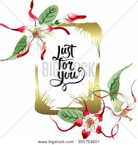 Red White Strophantus Botanical Flowers. Wild Spring Leaf Wildflower. Watercolour Drawing Fashion Aq