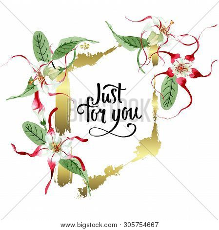 Red White Strophantus Botanical Flowers. Wild Spring Leaf Wildflower. Watercolour Drawing Fashion Aq