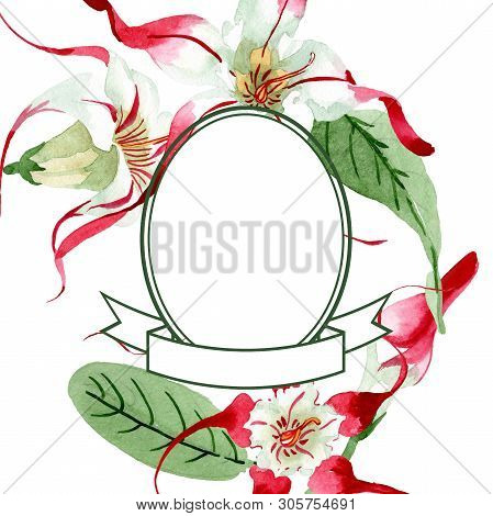 Red White Strophantus Botanical Flowers. Wild Spring Leaf Wildflower. Watercolour Drawing Fashion Aq