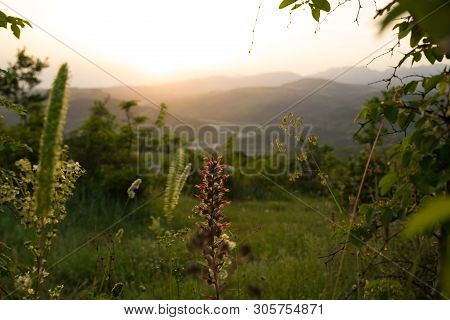 Beautiful Landscape In The Mountains With The Sun At Dawn. Mountains At The Sunset Time. Azerbaijan 