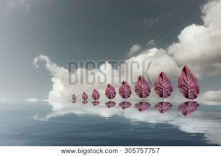 Brown And Red Leaves In Sea Reflection
