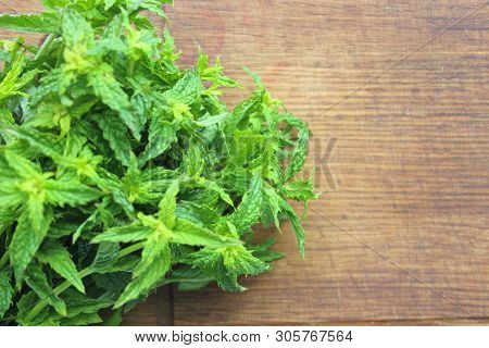 A Bunch Of Fresh Green Mint On A Wooden Rustic Table. Copy Space.