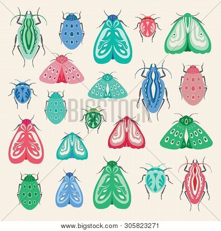 Colourful Moths And Beetles Illustration. A Collection Of Vector Insects Ideal For Clip Art Or Print