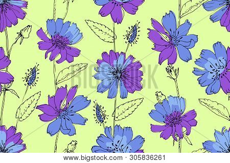 Art Floral Vector Seamless Pattern. Blue And Purple Succory (chicory) On Light Green Background. Iso