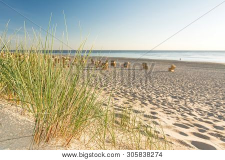 Closeup Of Beach Grass With Beach Chairs And Ocean On The Background On The Island Of Sylt, Germany