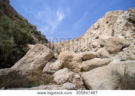 Close Up Of White Limestones Of A Hill With Poor Soil And Hill With Green. Bare Stones Versus Greena