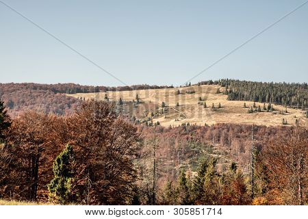 Hala Na Malej Raczy Mountain Meadow With Mala Racza Hill Covered By Colorful Forest From Hala Srubit