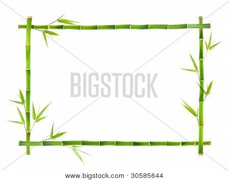 Bambusz keretek levelek