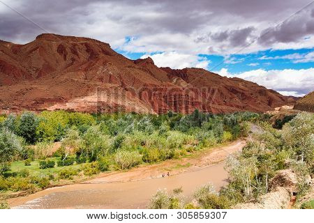 The Beautiful Rose Valley - Vallee Des Roses, Near Ouarzazate, Morocco In Africa