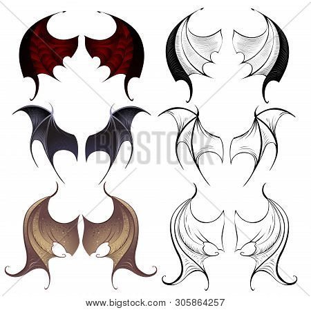 Three Pairs Of Leather Membranous Wings, Contoured And Detailed Painted On A White Background.