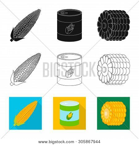 Vector Illustration Of Cornfield And Vegetable Logo. Set Of Cornfield And Vegetarian Stock Vector Il