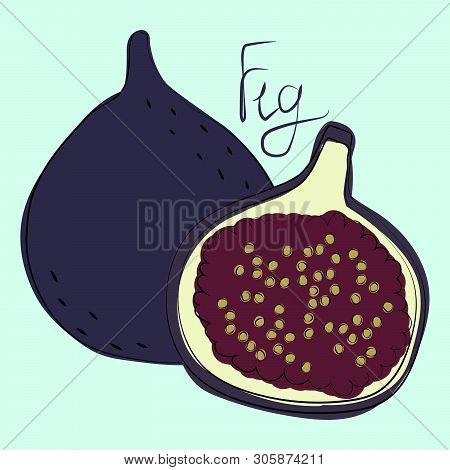 Vector Illustration Of Whole And Cut Figs On Mint Background