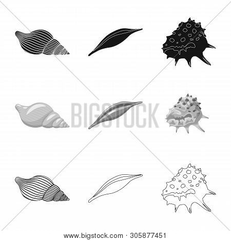 Vector Design Of Animal And Decoration Icon. Set Of Animal And Ocean Vector Icon For Stock.