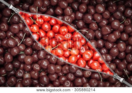 View Through The Zipped Fastener On Ripe Sweet Cherry Berries.