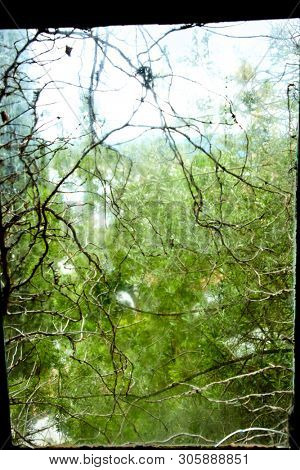 photo of the window to the nature