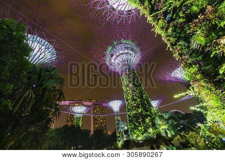 Singapore - April 25 2019 : Singapore Night Skyline At Gardens B