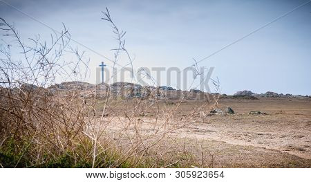 View Of The Wild Vegetation Of The Cross Of The Tip Of Chatelet On The Island Of Yeu