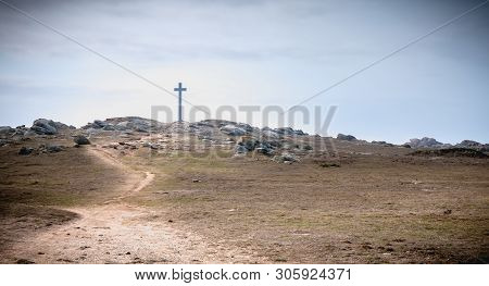 View Of The Wild Vegetation Of The Cross Of The Tip Of Chatelet On The Island Of Yeu
