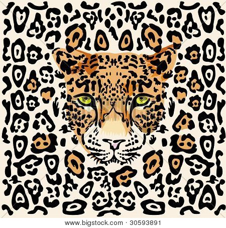 Modello con un muso di un leopardo