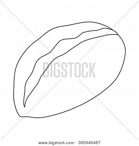Vector Illustration Of Gedza And Khinkali Sign. Collection Of Gedza And Asian Stock Vector Illustrat
