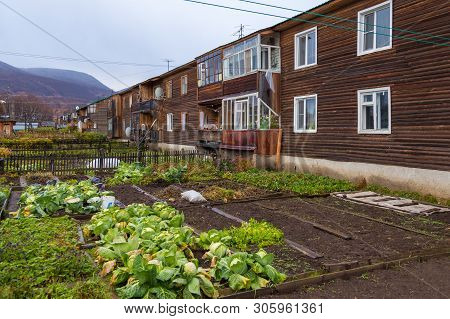 Esso, Kamchatka Peninsula, Russia- 02 October 2014: Wooden Block Of Flats. Vegetables Garden In Fron