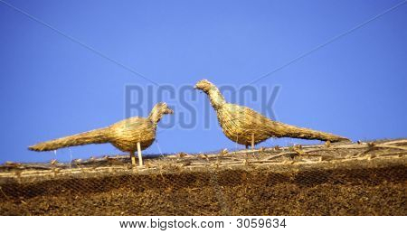 Doškové ptáci na střeše