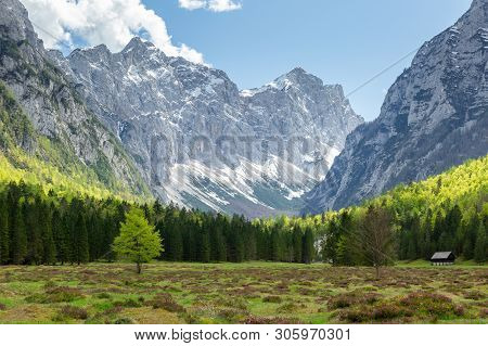 Spring In Krma Valley At The Julian Alps With Wild Flowers Blooming, Triglav National Park, Slovenia