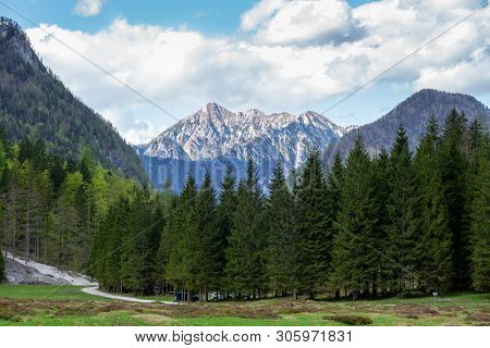 Spring In Krma Valley At The Julian Alps With Wild Flowers Blooming, Triglav National Park, Slovenia