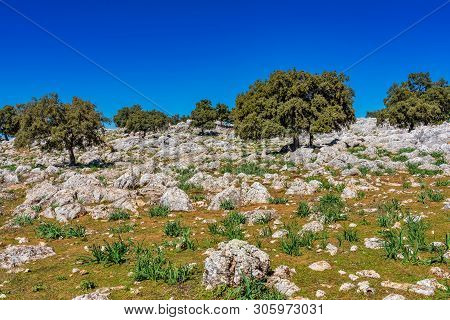 Landscape Near Cuevas Del Becerro In Province Malaga, Andalusia, Spain