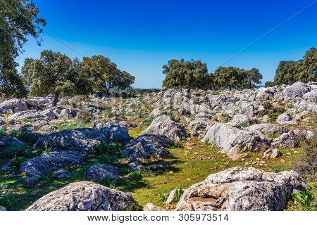 Landscape Near Cuevas Del Becerro In Province Malaga, Andalusia, Spain