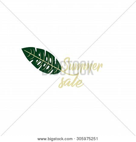 Flat Design Vector Logo - Summer Discount. Web Icon Tropical Leaf Monstera Closeup Isolated. Stylish