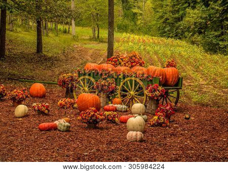 Old Wooden Wagon Full Of Pumpkins And Mums For A Decorative Autumn Display In A Farm Field