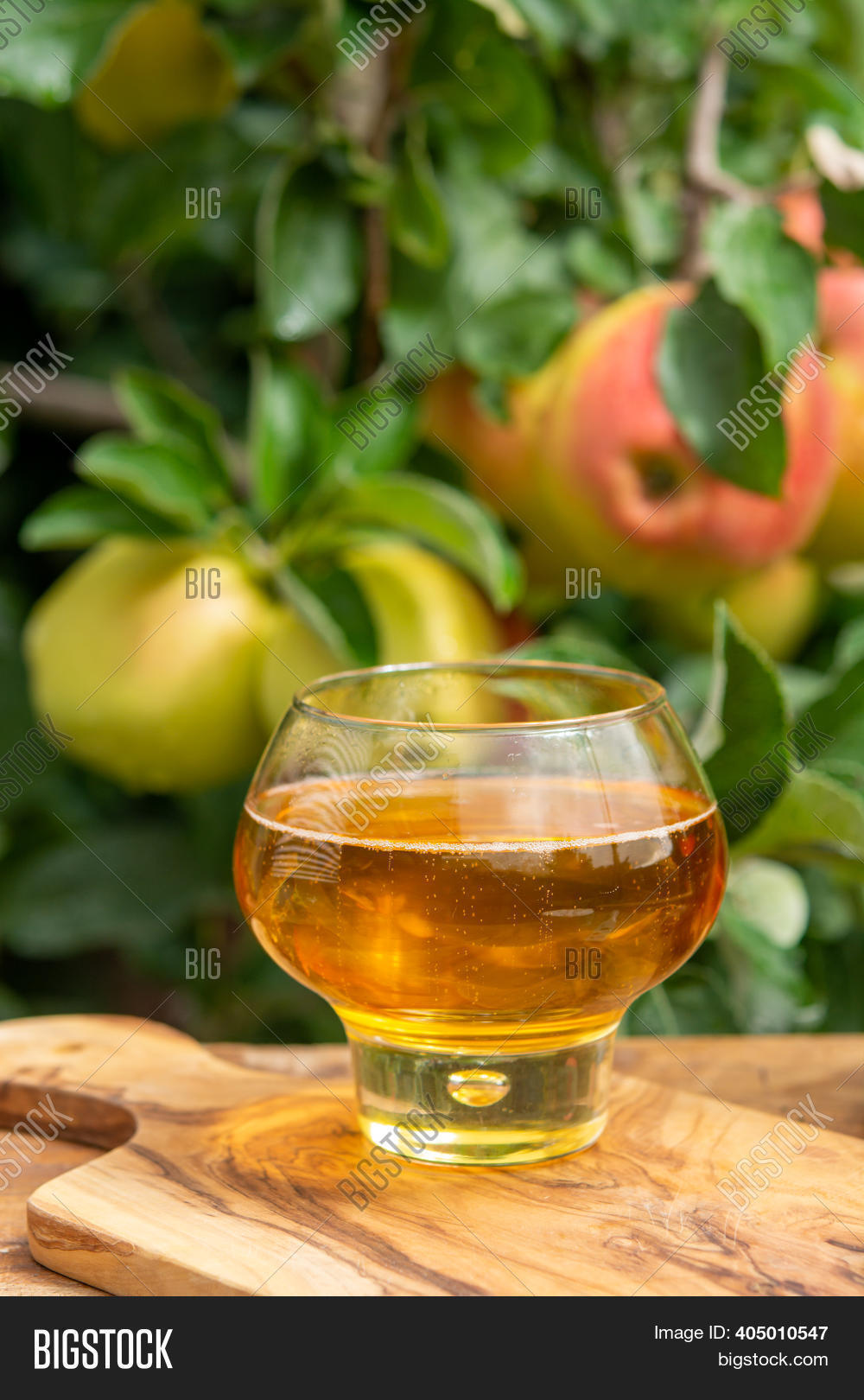 Glass Apple Cider Image & Photo (Free Trial) Bigstock