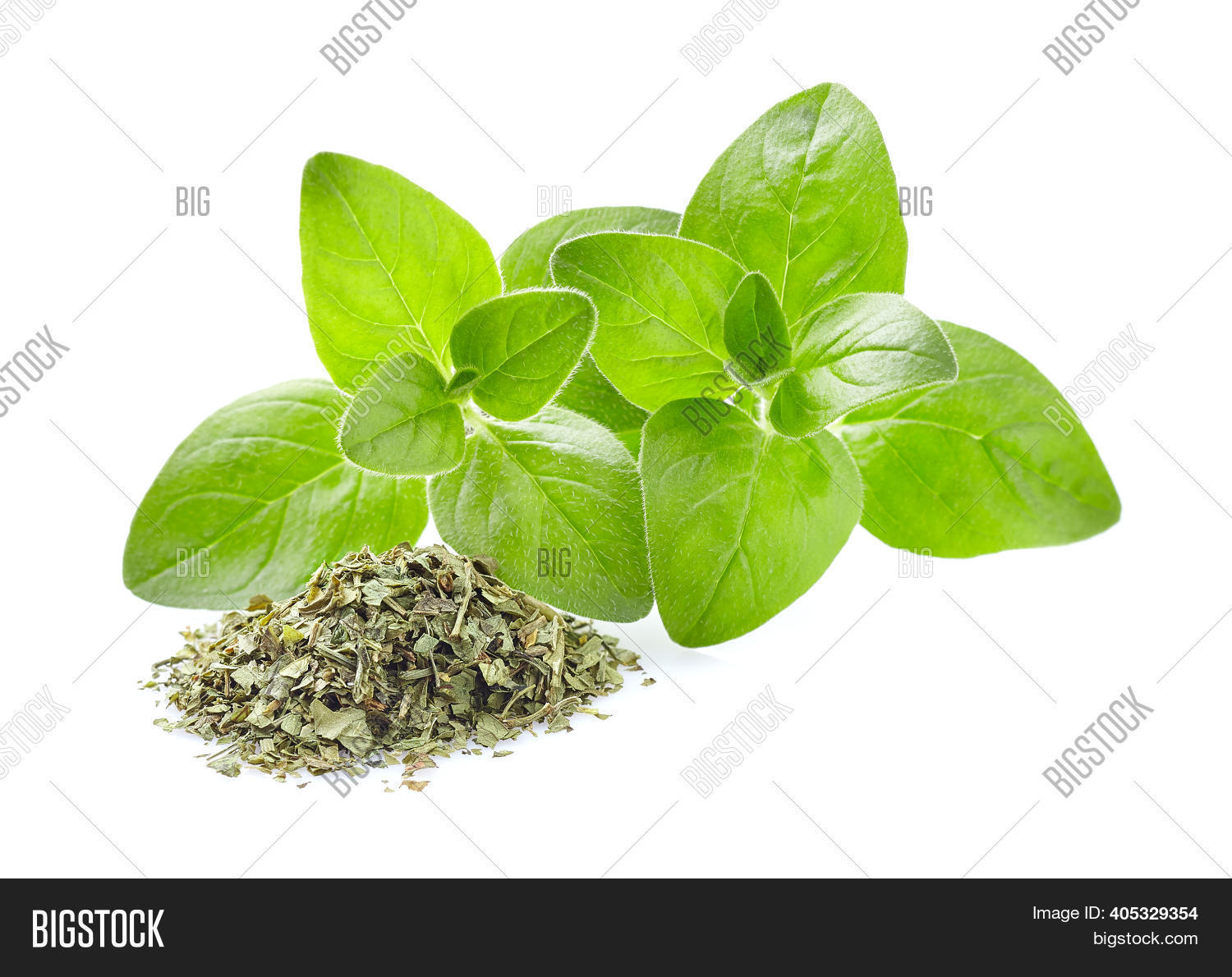 Fresh Dry Oregano Image & Photo (Free Trial) Bigstock