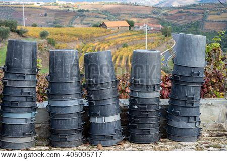 Winemaking In Oldest Wine Region In World Douro Valley In Portugal, Gray Plastic Buckets For Harvest